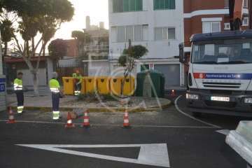 Parques y Jardines elimina en Salinetas el árbol que ensuciaba los recipientes de basura (Foto TA)